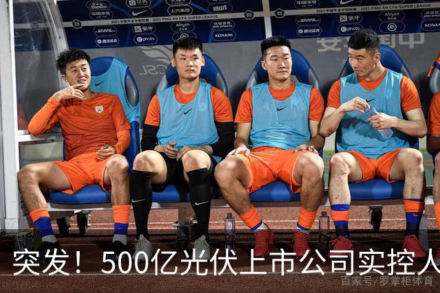 突发！500亿光伏上市公司实控人被批捕