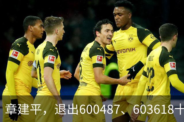 章建平，退出600487、603618十大股东