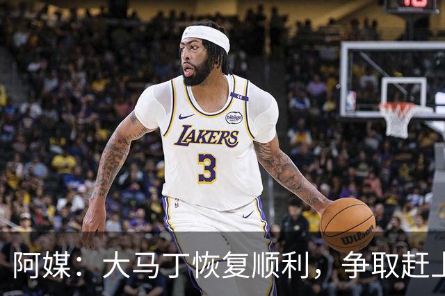 阿媒：大马丁恢复顺利，争取赶上11月阿根廷队比赛
