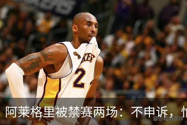 阿莱格里被禁赛两场：不申诉，怕变成四场
